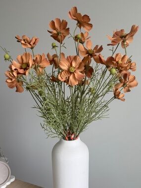 Cosmo Spray Stems- Set of 6